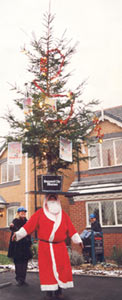 John Evans headbalancing a Christmas tree.
